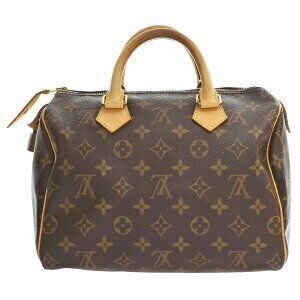 Louis Vuitton Monogram Speedy Canvas Handbag